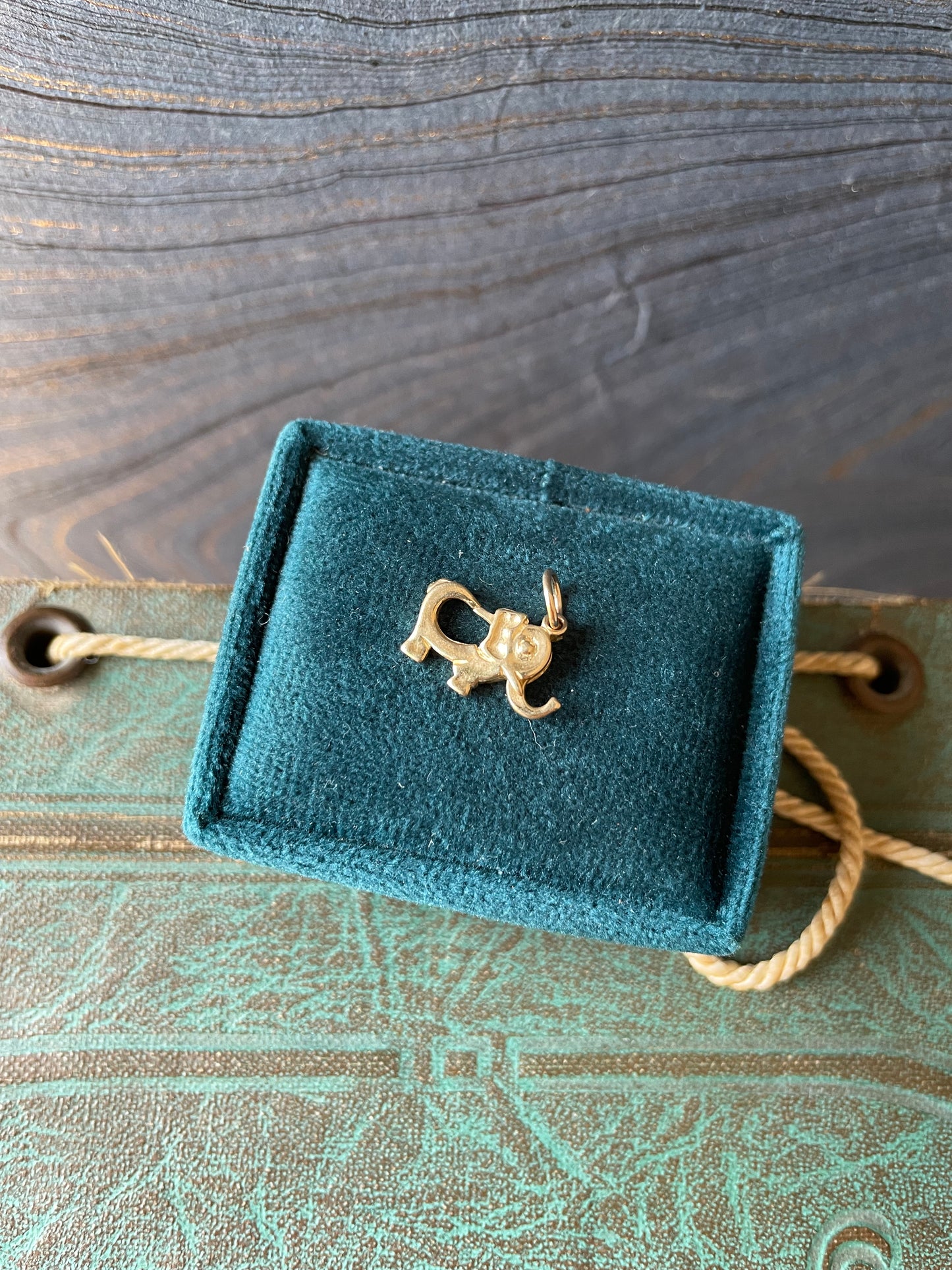 Elephant’s Trunk Clasp - 14k